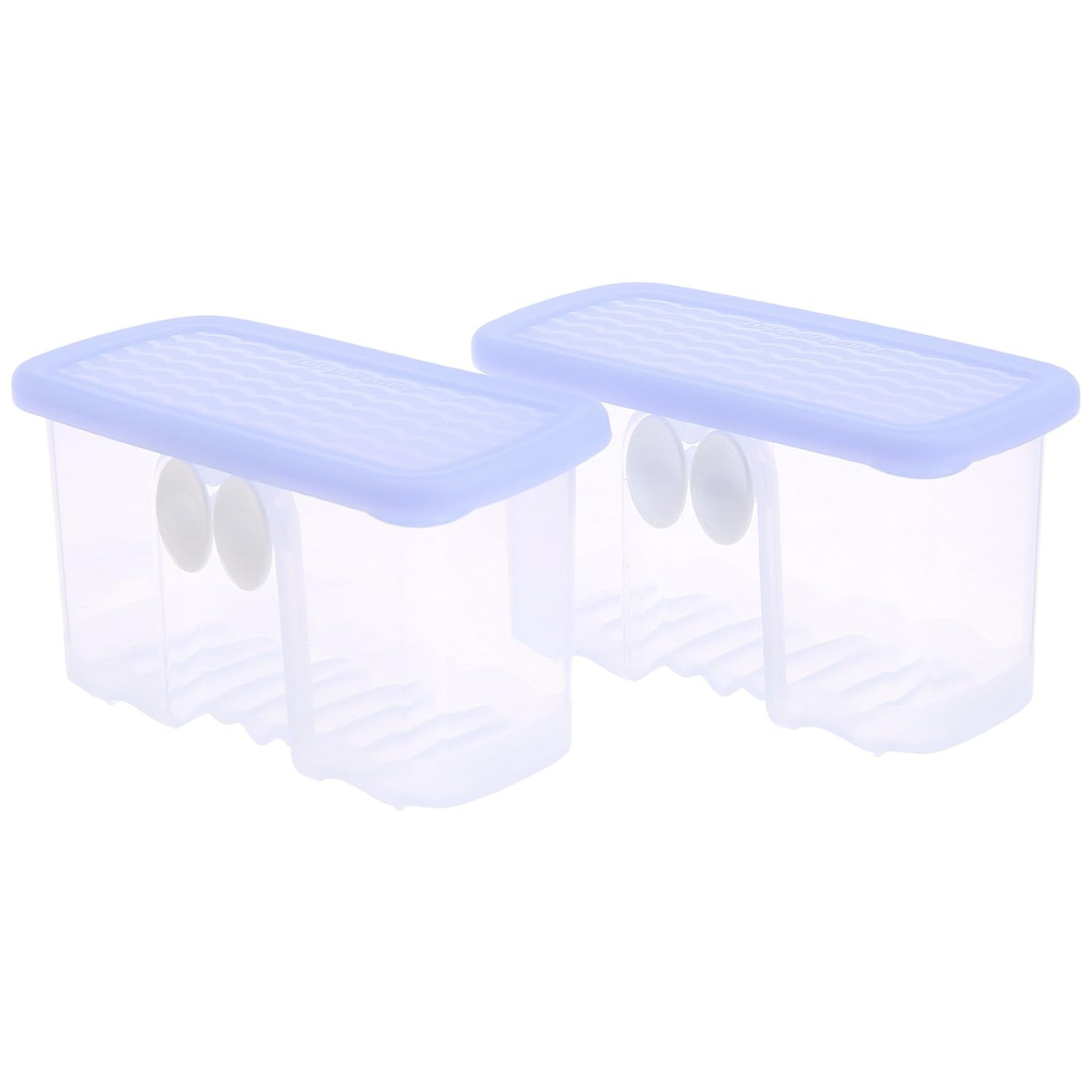 Tupperware Fridge Smart Mini Container Set, Set of 2,Mulitcolor